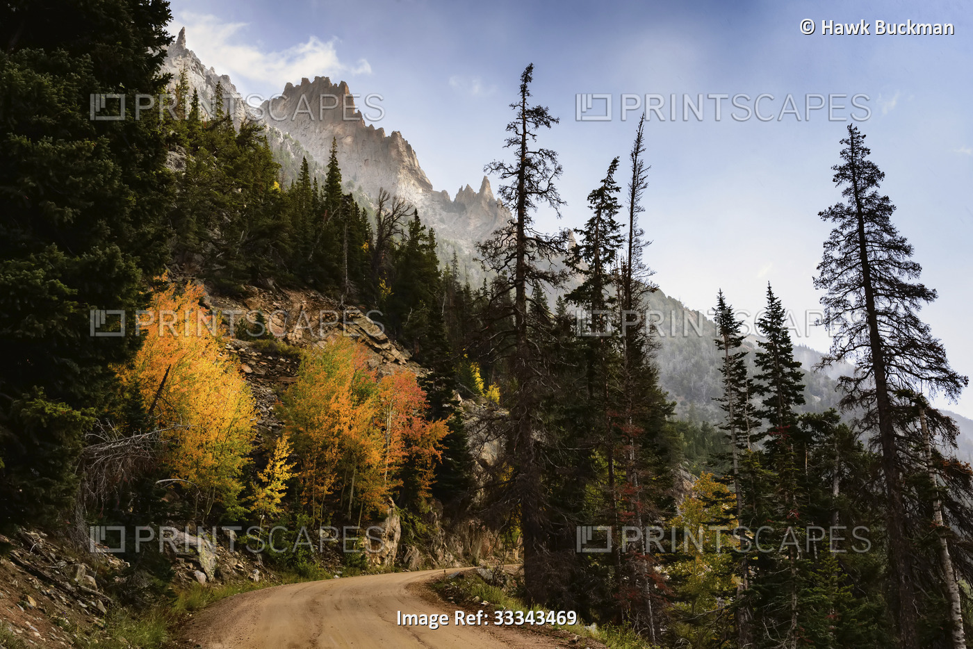 Autumn colours along Old Fall River Road in the Rocky Mountains, Rocky Mountain ...
